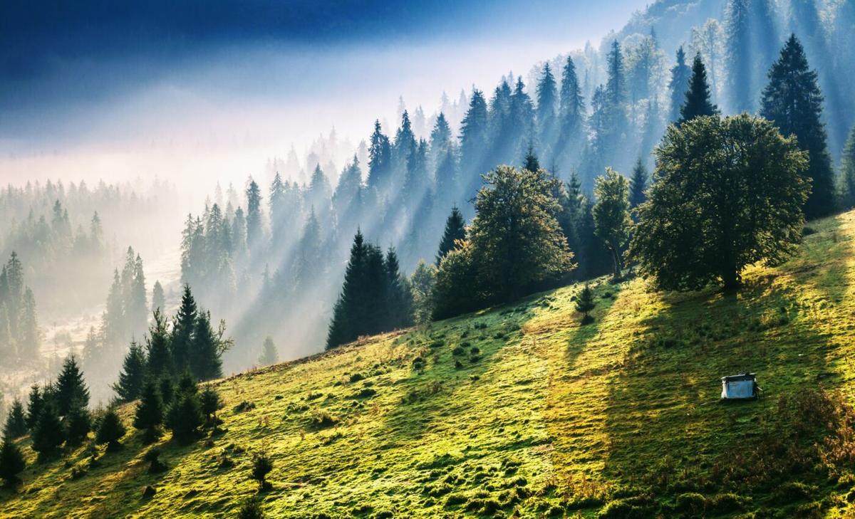 Wood heating is polluting European mountain valleys
