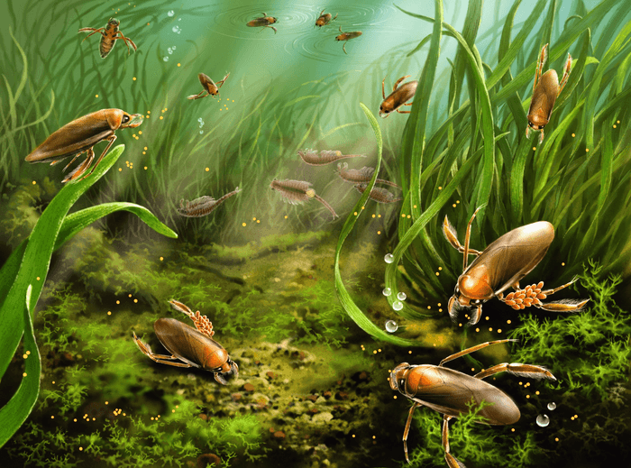Jurassic water bugs stuck their eggs on their legs