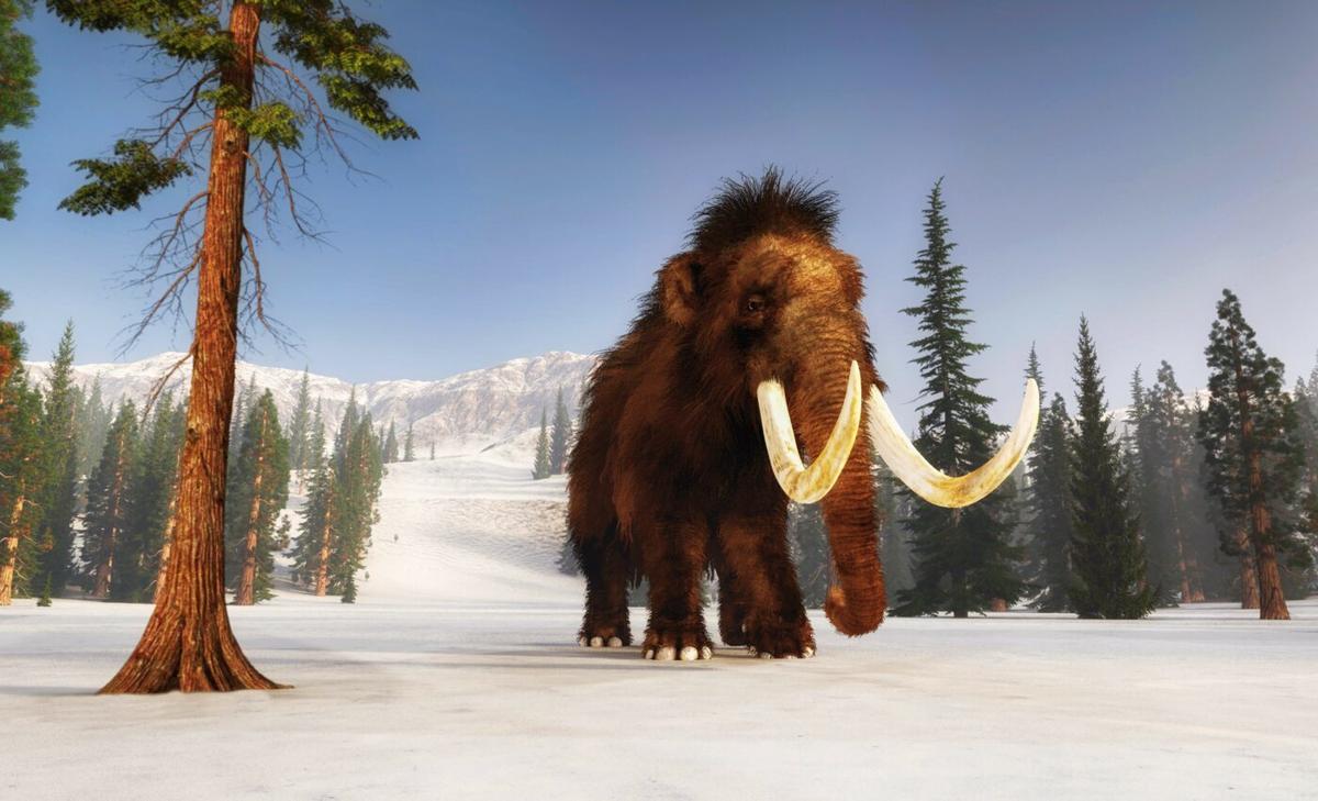 Humans settled in North America much earlier than previously thought