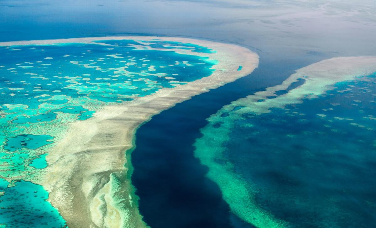 Parts of the Great Barrier Reef are currently recovering