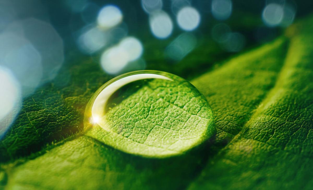 Transforming sunlight and water into renewable energy