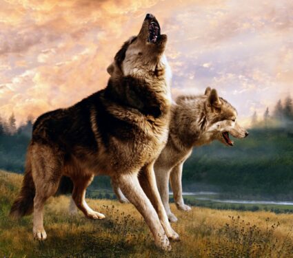 Wolves-4.jpg