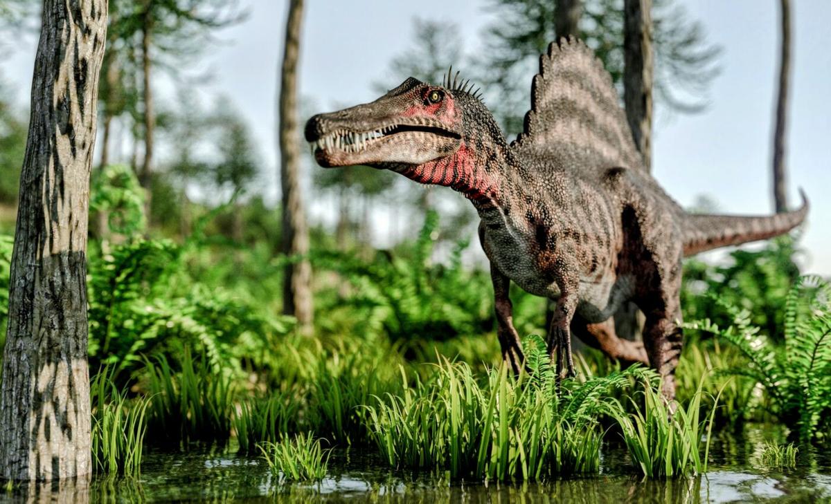 Spinosaurids rapidly replaced their teeth