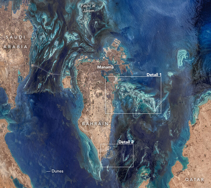 The fascinating underwater landscape of Bahrain