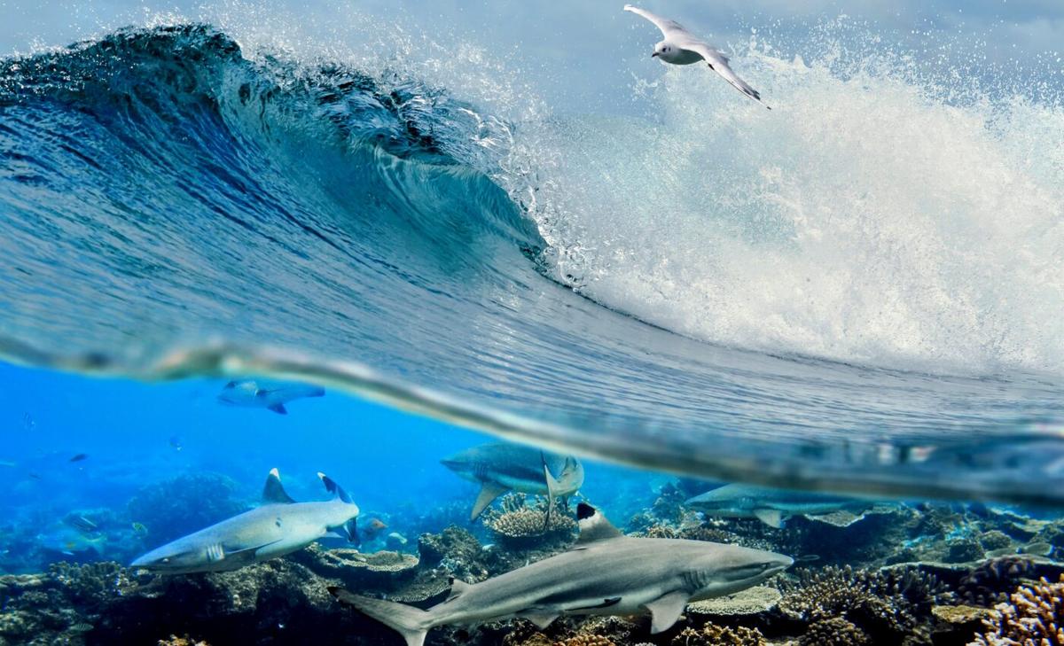 Compound events could irreversibly damage the ocean