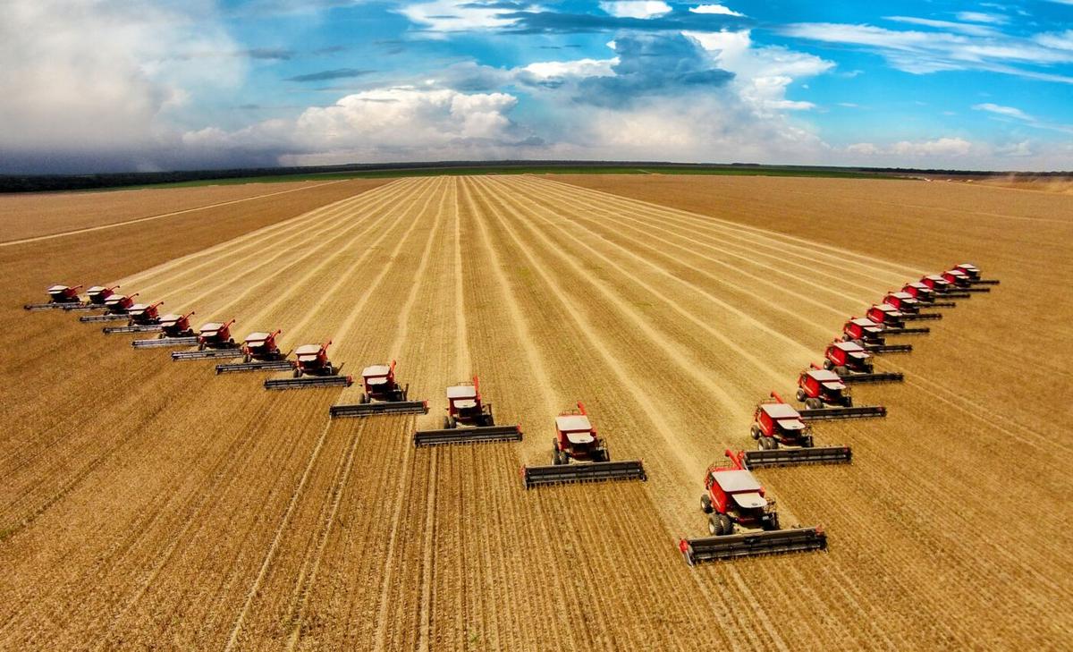 Food production affects Earth’s natural processes