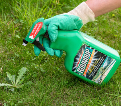 Paris,,France,-,August,15,,2018,:,Gardener,Using,Roundup