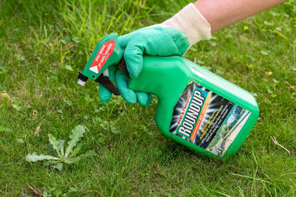 Weed killer Roundup® may cause convulsions in animals