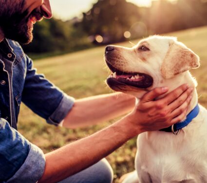 Dog-Day.jpg