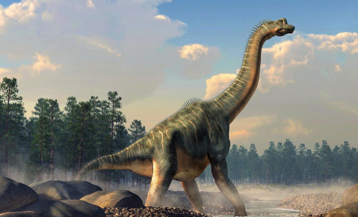 Largest dinosaur skeleton in Europe discovered in Portugal