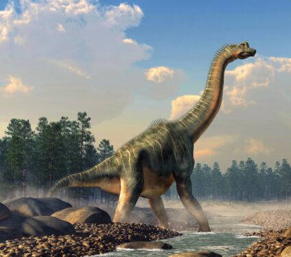 Sauropod.jpg