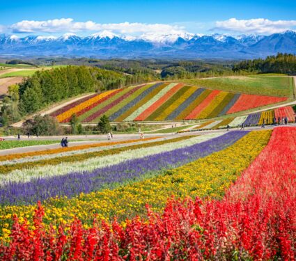 Agricultural-diversity.jpg
