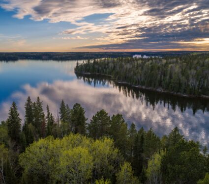 Northern-forests2.jpg