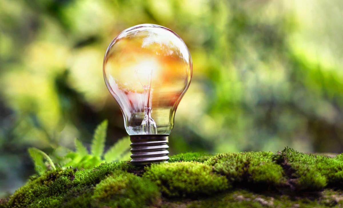 Survival pathways in the face of climate catastrophe