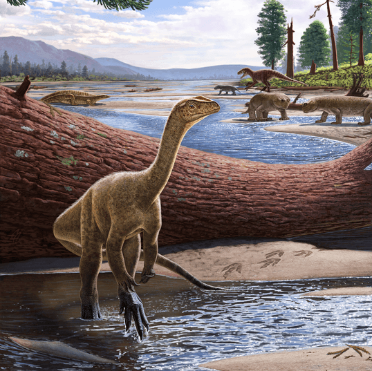 Africa’s oldest known dinosaur recently discovered