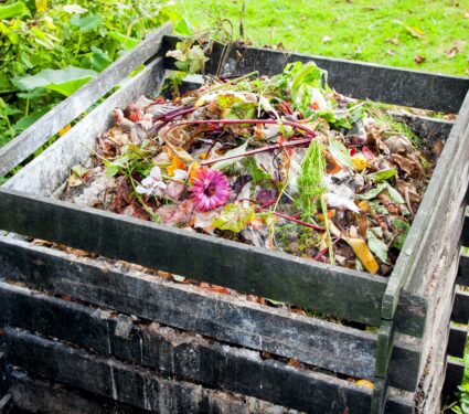 Compost.jpg