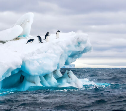 An,Antarctica,Nature,Scene,,With,A,Group,Of,Five,Adelie