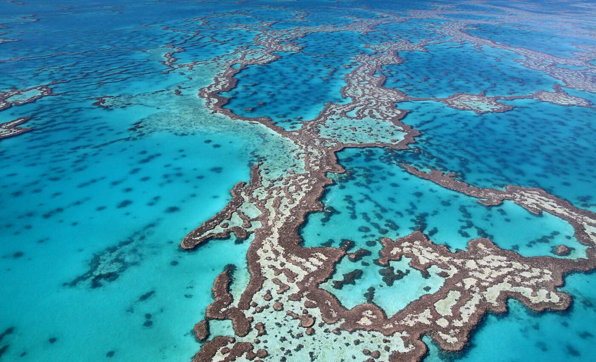 Climate models do not reliably predict cyclone damage to coral reefs