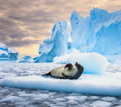 Antarctic-Ice.jpg