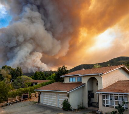 2022/09/Wildfire-impacts.jpg