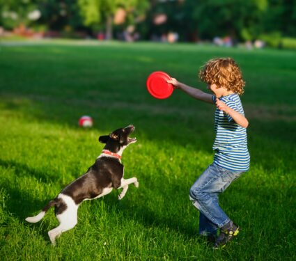 Dogs-action.jpg