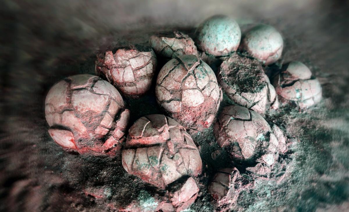 Dinosaurs were in a state of decline before their extinction