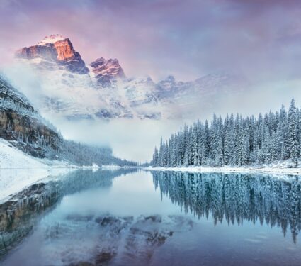 Snow-cover.jpg