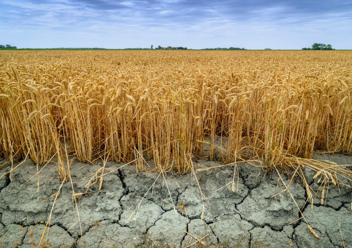 Global warming will produce droughts that persist for years