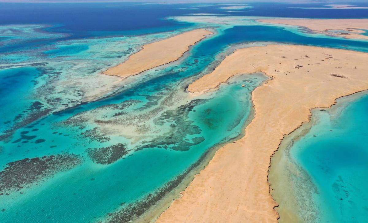 New turtle nesting sites discovered in the Red Sea