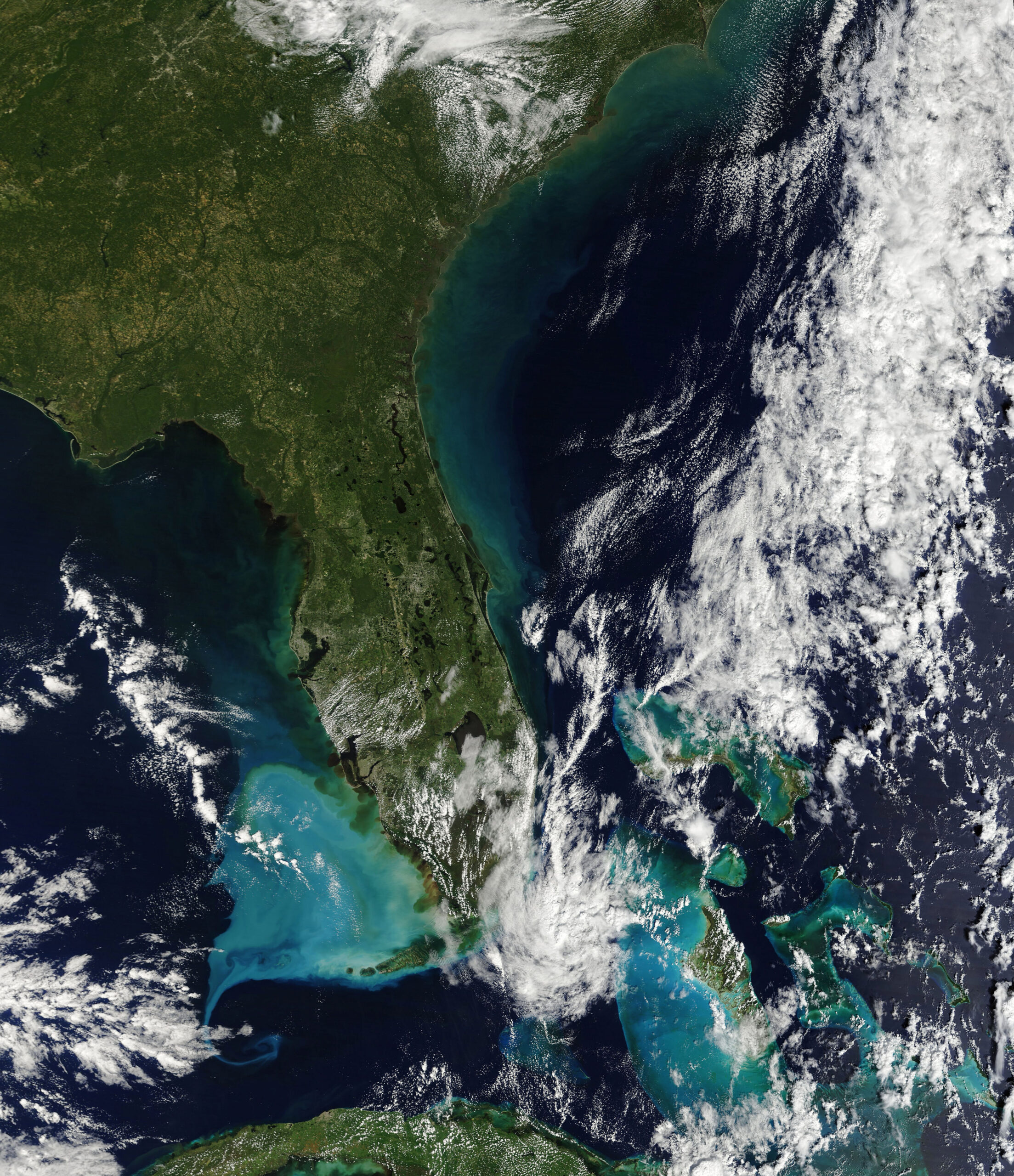 Hurricane Ian lifted sediment from the seafloor