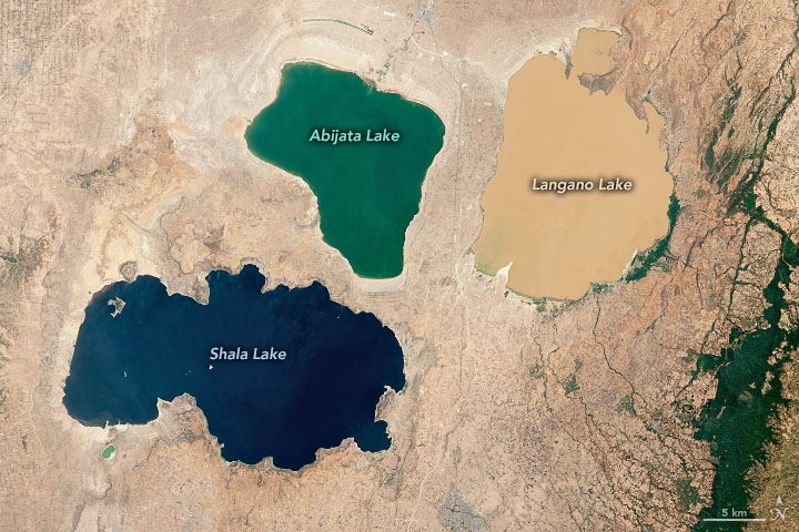 Three Ethiopian lakes with very different chemistry