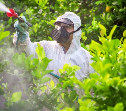 Farmer,Man,Spraying,Fumigating,Pesti,,Pest,Control.,Weed,Insecticide,Fumigation.