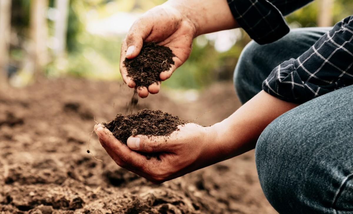 Global hotspots for soil conservation are poorly protected