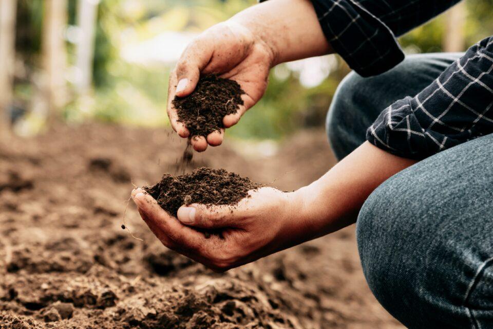 Global hotspots for soil conservation are poorly protected