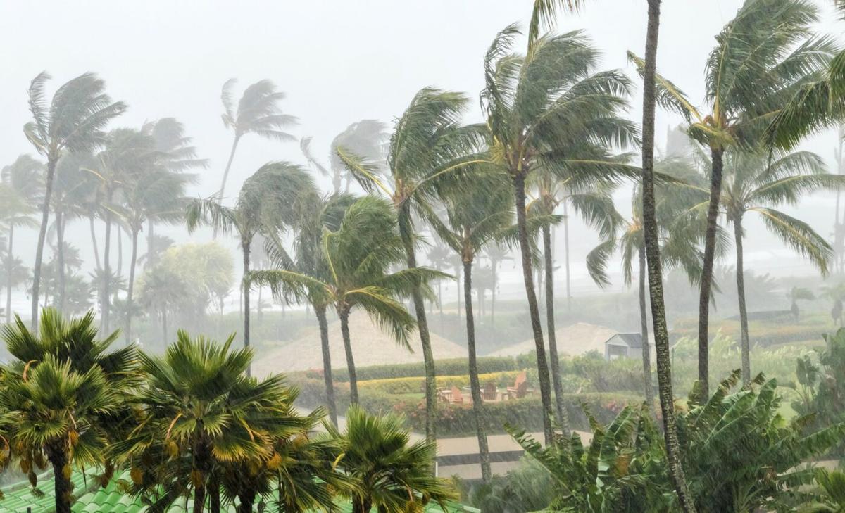 Cyclones and fires interact, worsening the effects of each other