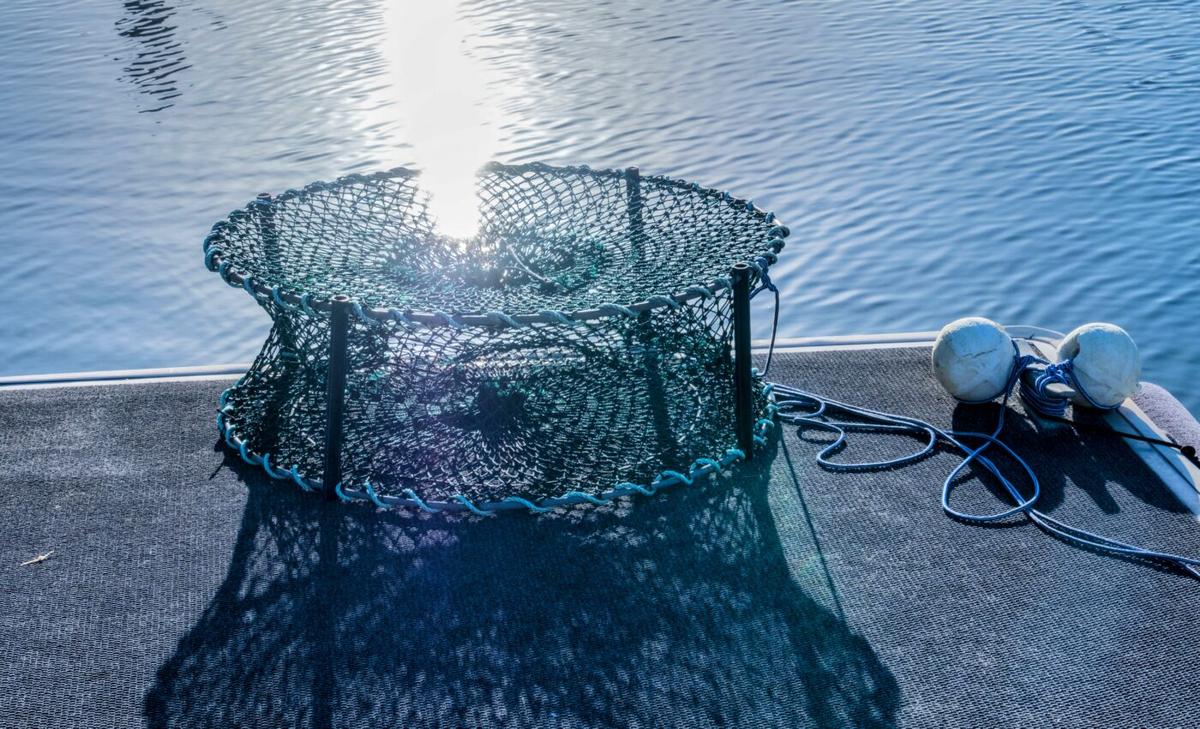 Alaska cancels snow crab season due to massive decline