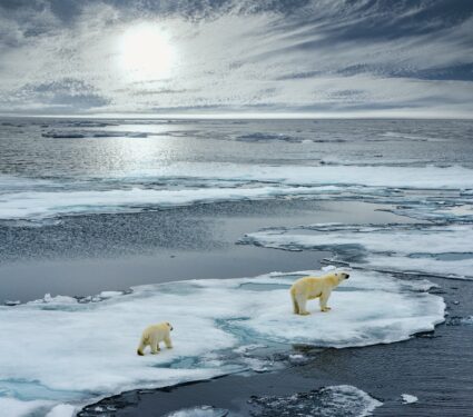 Arctic-Ocean-2.jpg