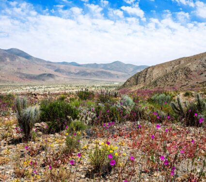 Atacama.jpg