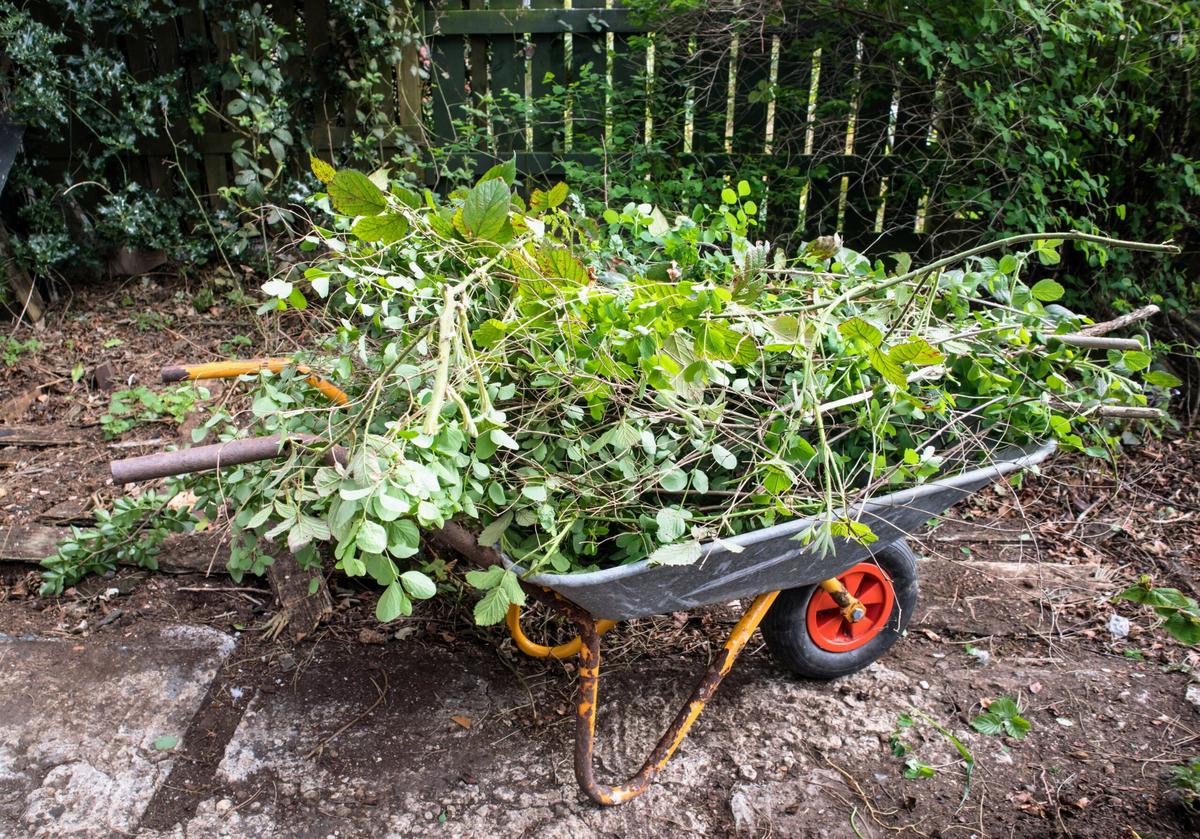 Garden waste could store 600,000 tons of CO2  annually