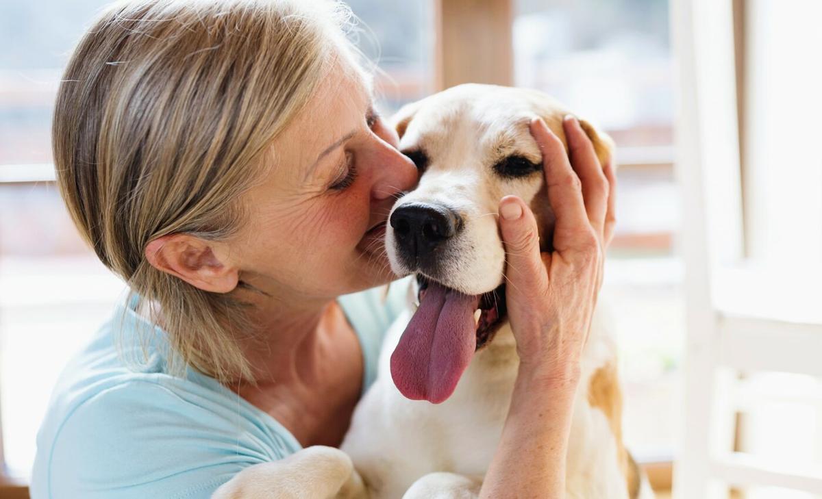 People who struggle with stress benefit from having a pet