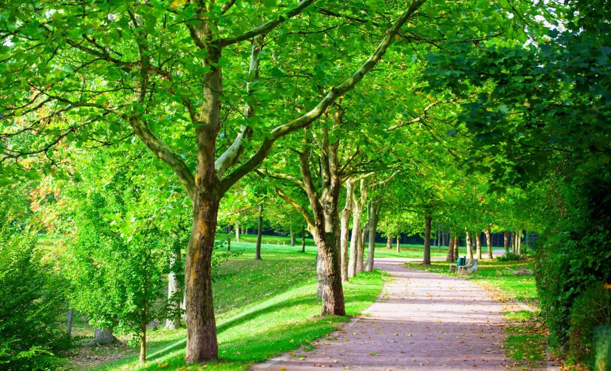 Walkable neighborhoods help reduce cardiovascular risk