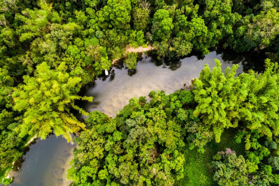 The Congo Basin could release billions of tons of carbon
