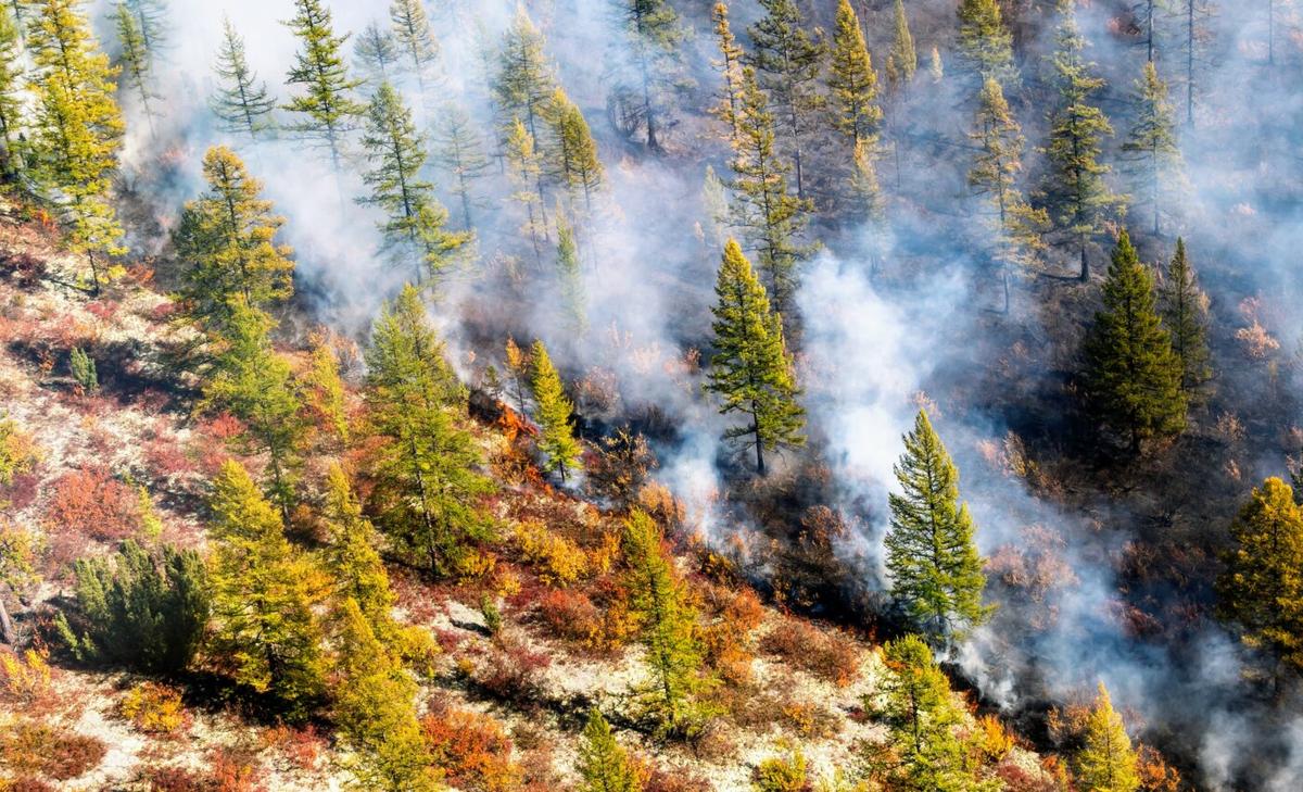 Arctic warming will increase permafrost megafires