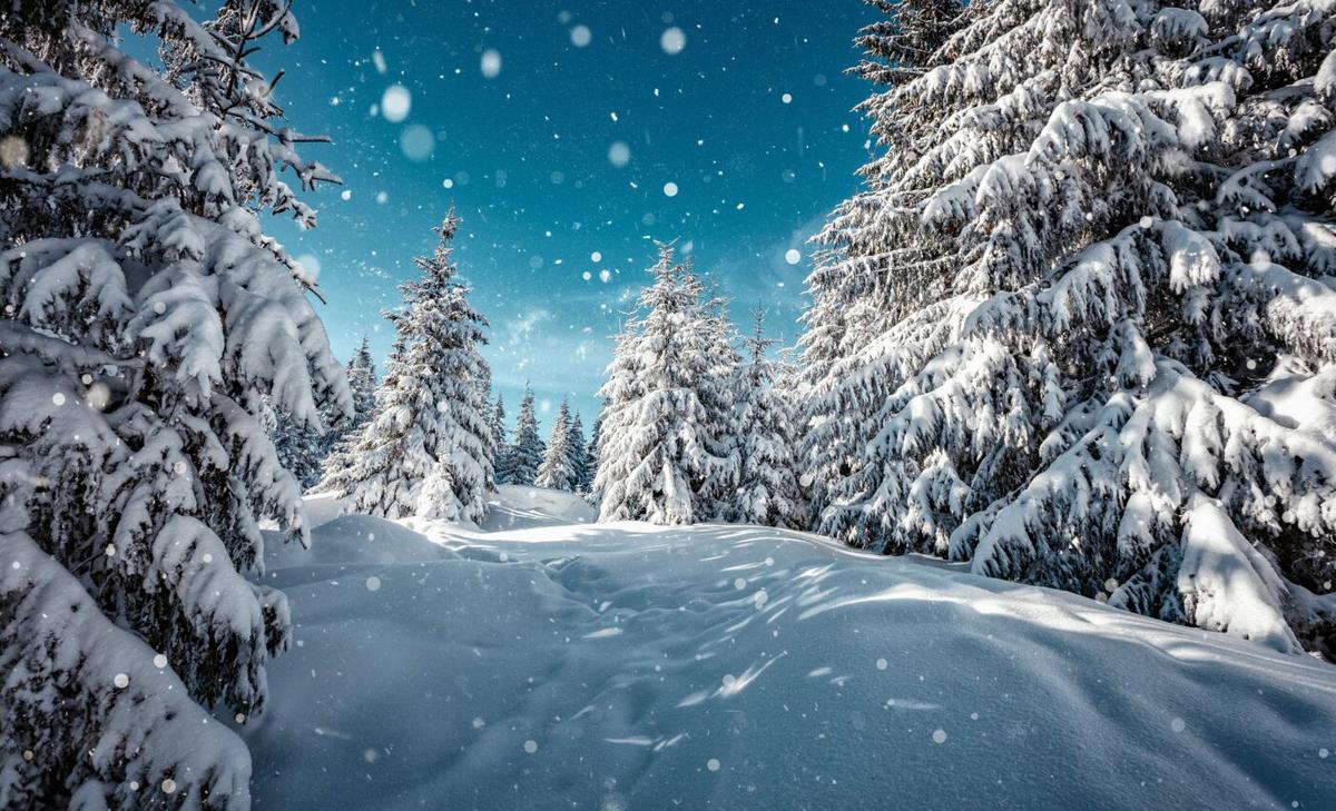 Snowy landscapes can boost body appreciation