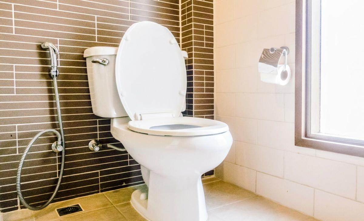 Toilets could be monitored to detect disease outbreaks