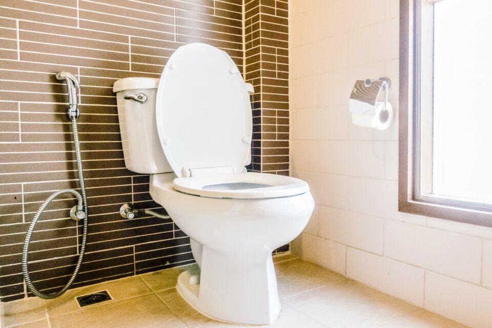 Toilets could be monitored to detect disease outbreaks