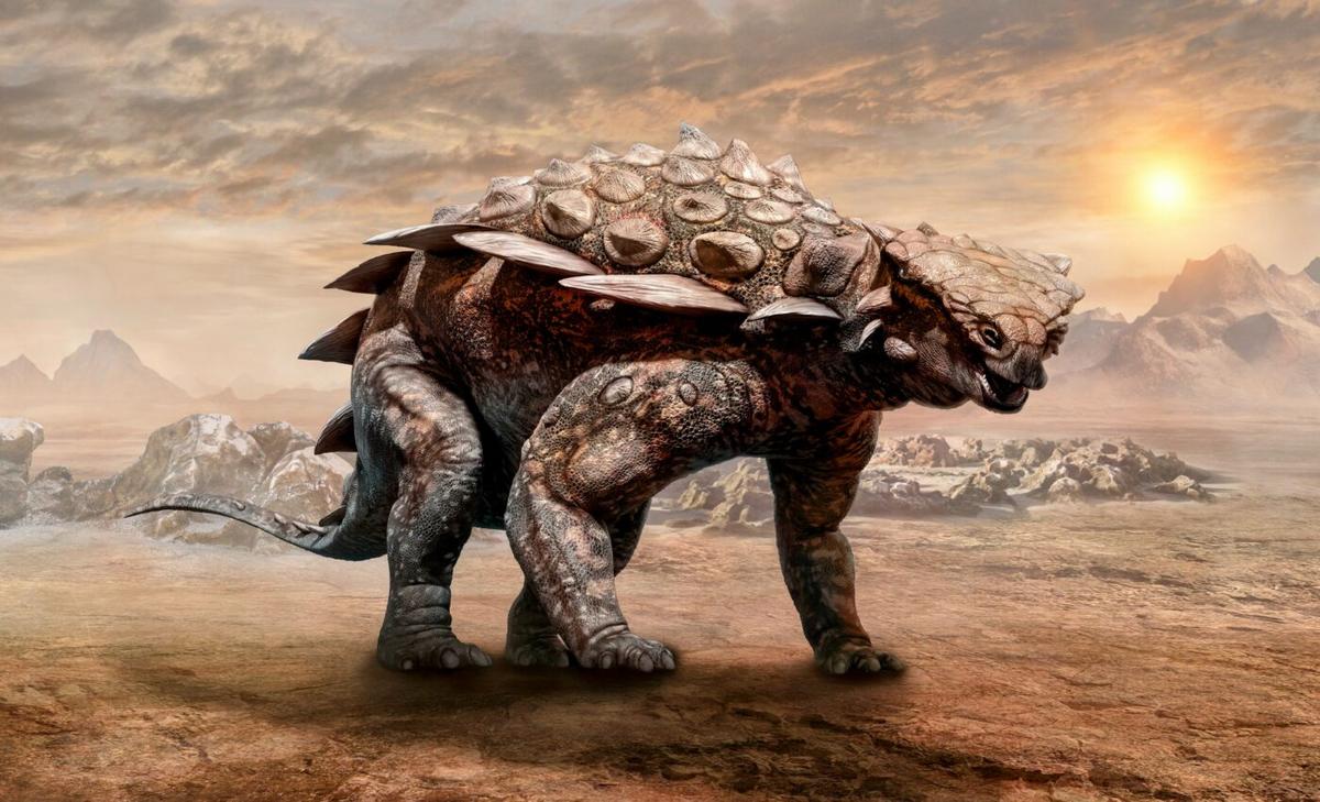 Ankylosaurs used their tail clubs to battle each other
