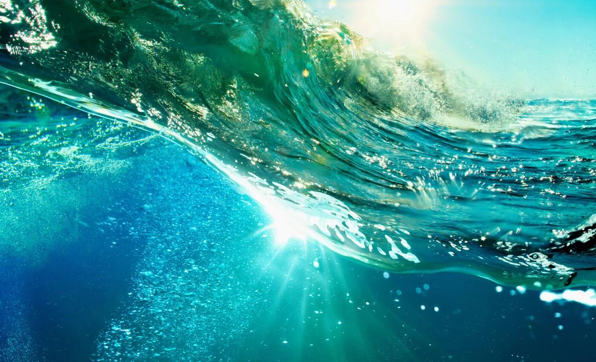 Genetic differences in fish are important for conservation