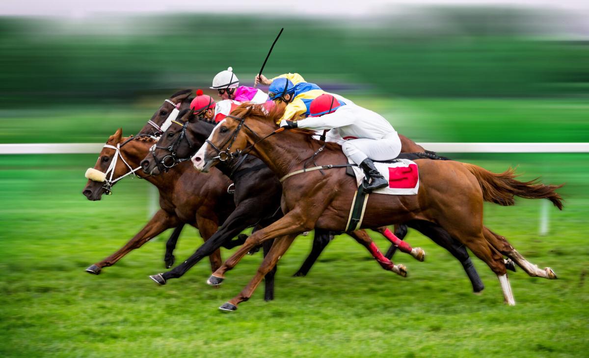Experts have identified the key genes of racehorses