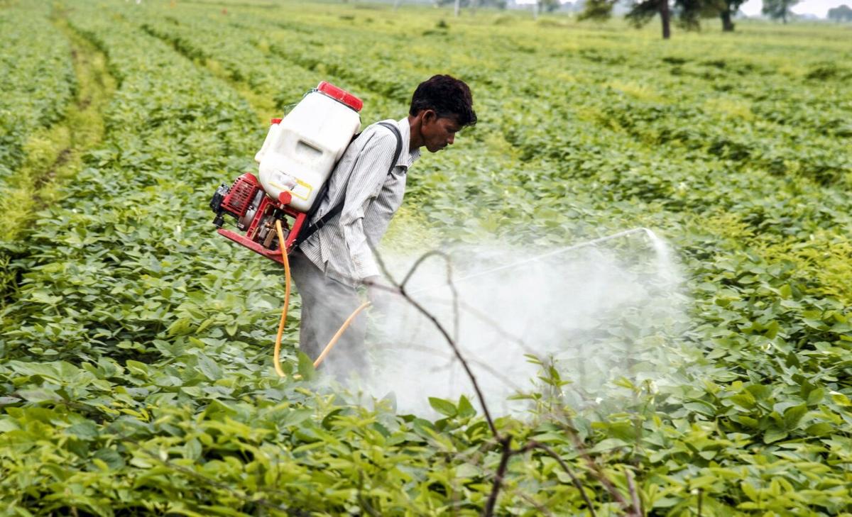 Food production is one of the biggest drivers of climate change